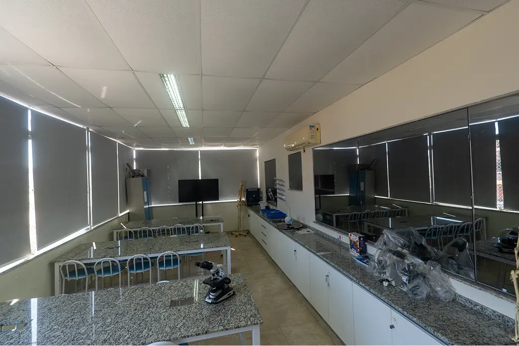 Colegio Heitor Villa Lobos  (56)
