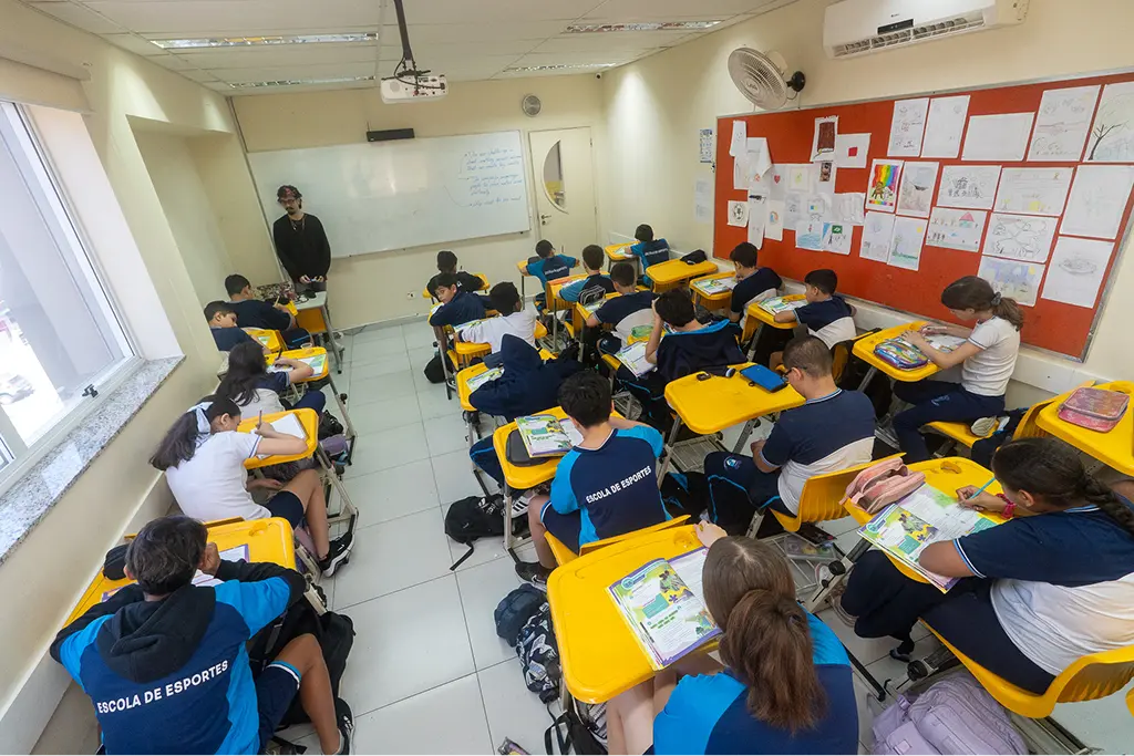 Colegio Heitor Villa Lobos  (95)
